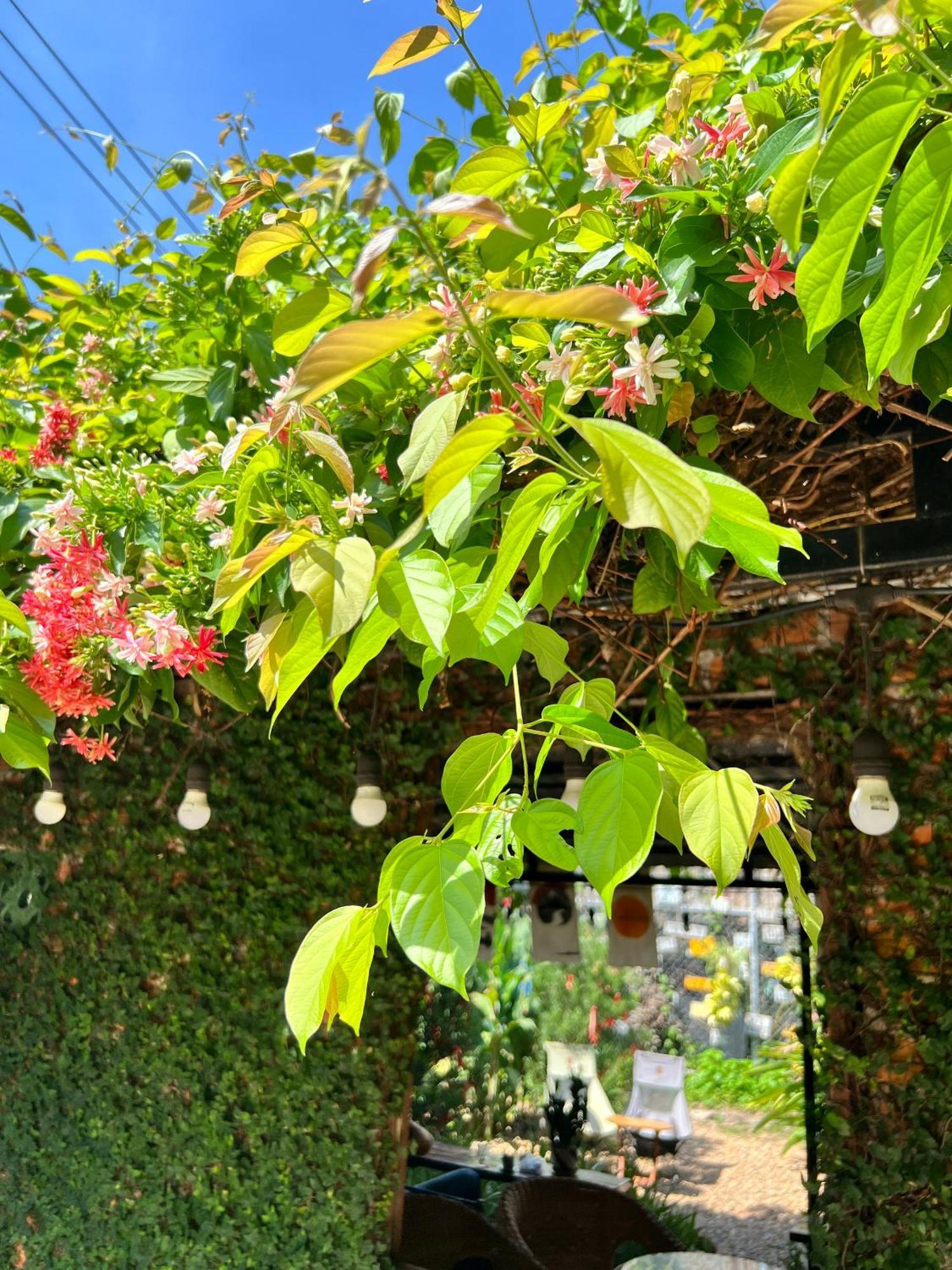 Yellow Farm Homestay Dong Tac Εξωτερικό φωτογραφία
