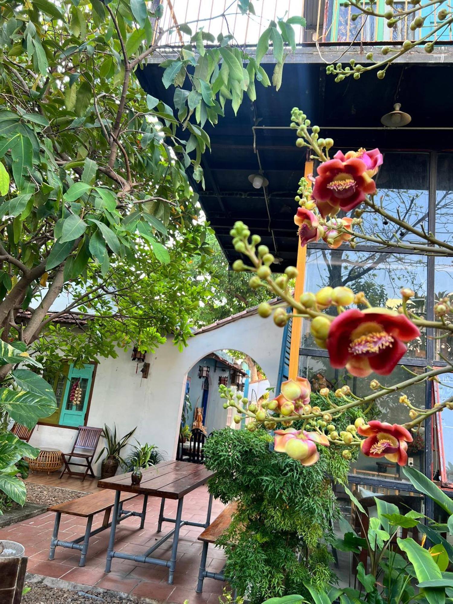 Yellow Farm Homestay Dong Tac Εξωτερικό φωτογραφία